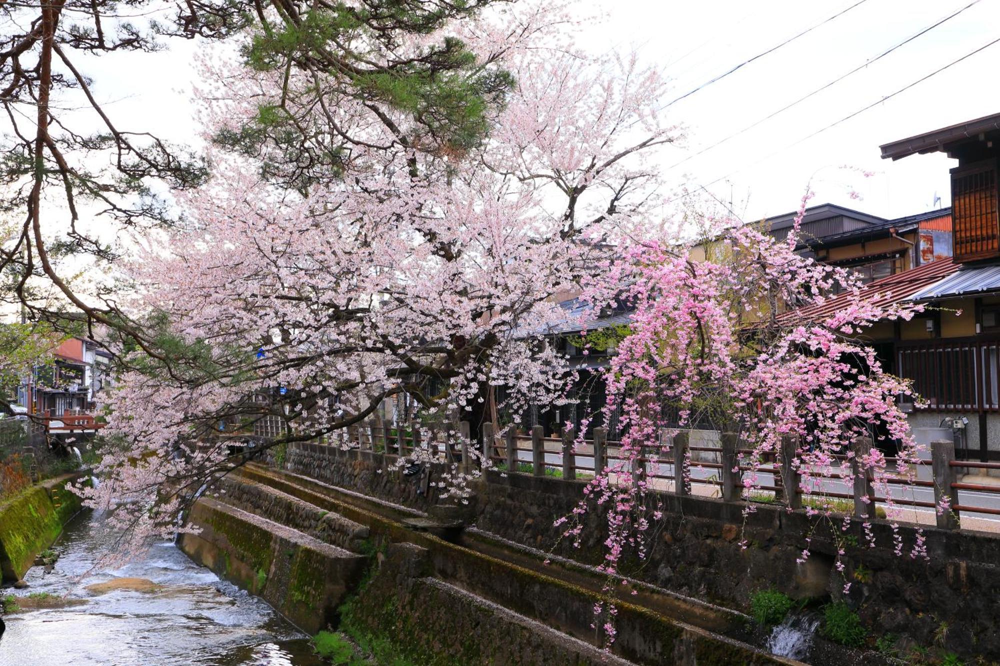Apartmán 高山ステイ 柊 Exteriér fotografie